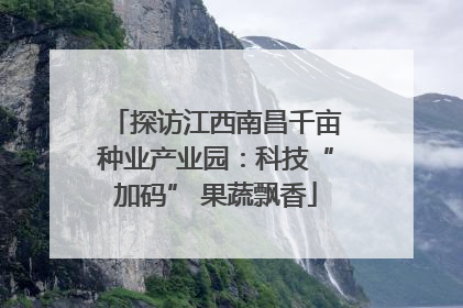 探访江西南昌千亩种业产业园：科技“加码” 果蔬飘香