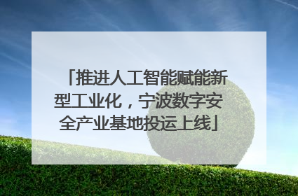 推进人工智能赋能新型工业化，宁波数字安全产业基地投运上线