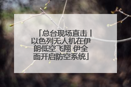 总台现场直击丨以色列无人机在伊朗低空飞翔 伊全面开启防空系统