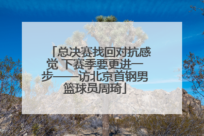 总决赛找回对抗感觉 下赛季要更进一步——访北京首钢男篮球员周琦