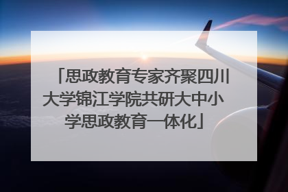 思政教育专家齐聚四川大学锦江学院共研大中小学思政教育一体化