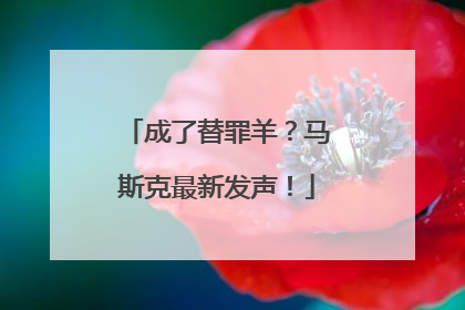 成了替罪羊？马斯克最新发声！