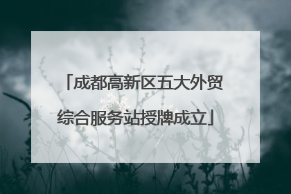 成都高新区五大外贸综合服务站授牌成立