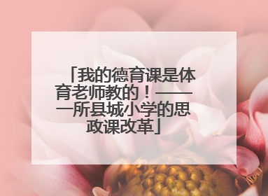 我的德育课是体育老师教的！——一所县城小学的思政课改革