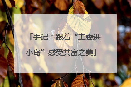 手记：跟着“主委进小岛”感受共富之美