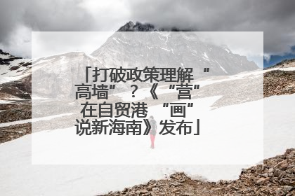 打破政策理解“高墙”？《“营”在自贸港 “画”说新海南》发布
