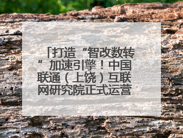 打造“智改数转”加速引擎！中国联通（上饶）互联网研究院正式运营（图）