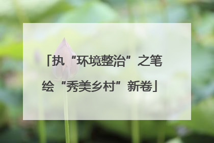 执“环境整治”之笔 绘“秀美乡村”新卷