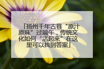 扬州千年古巷“原汁原味”过端午，传统文化如何“活起来”在这里可以找到答案