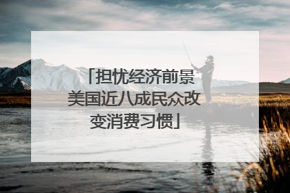 担忧经济前景 美国近八成民众改变消费习惯
