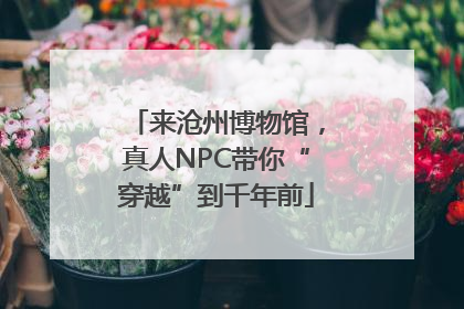 来沧州博物馆，真人NPC带你“穿越”到千年前