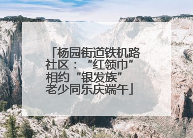 杨园街道铁机路社区：“红领巾”相约“银发族” 老少同乐庆端午