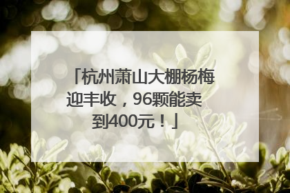 杭州萧山大棚杨梅迎丰收，96颗能卖到400元！