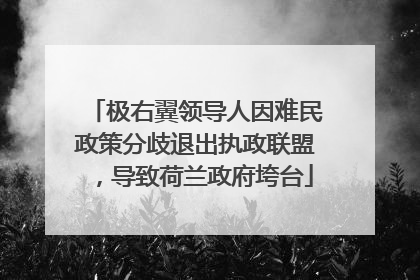 极右翼领导人因难民政策分歧退出执政联盟，导致荷兰政府垮台