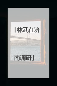 林武在济南调研