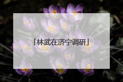 林武在济宁调研