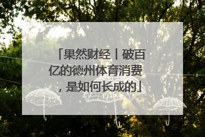 果然财经丨破百亿的德州体育消费，是如何长成的