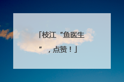 枝江“鱼医生”，点赞！