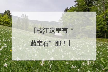 枝江这里有“蓝宝石”耶！