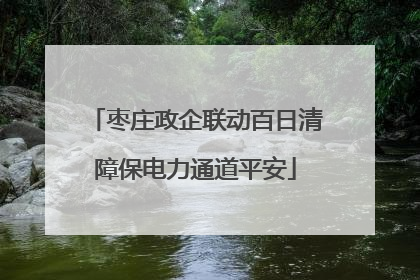 枣庄政企联动百日清障保电力通道平安