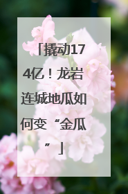撬动174亿！龙岩连城地瓜如何变“金瓜”
