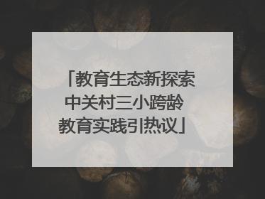 教育生态新探索 中关村三小跨龄教育实践引热议