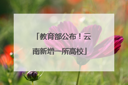 教育部公布！云南新增一所高校