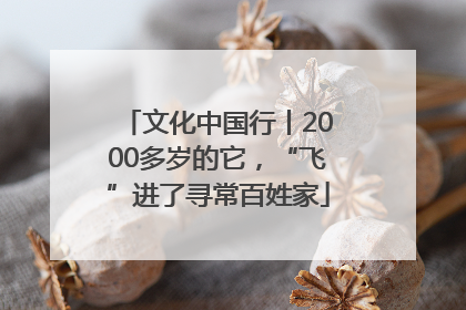文化中国行丨2000多岁的它，“飞”进了寻常百姓家
