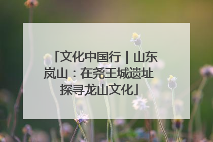 文化中国行｜山东岚山：在尧王城遗址探寻龙山文化