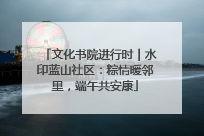 文化书院进行时｜水印蓝山社区：粽情暖邻里，端午共安康