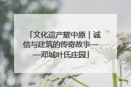 文化遗产耀中原｜诚信与建筑的传奇故事——邓城叶氏庄园