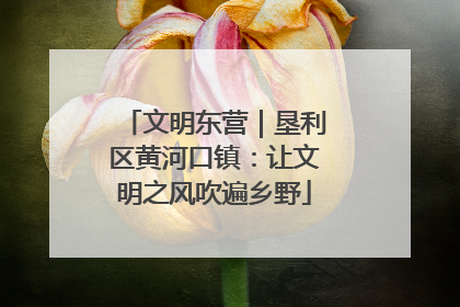 文明东营｜垦利区黄河口镇：让文明之风吹遍乡野