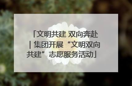 文明共建 双向奔赴｜集团开展“文明双向共建”志愿服务活动