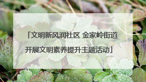 文明新风润社区 金家岭街道开展文明素养提升主题活动