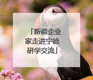 新疆企业家走进宁德研学交流