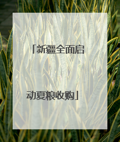 新疆全面启动夏粮收购
