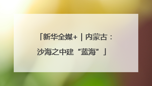新华全媒+｜内蒙古：沙海之中建“蓝海”