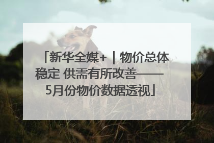 新华全媒+｜物价总体稳定 供需有所改善——5月份物价数据透视