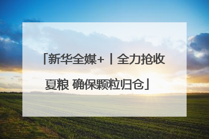 新华全媒+丨全力抢收夏粮 确保颗粒归仓