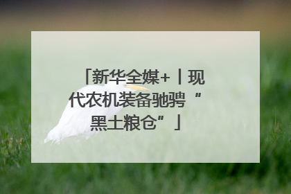 新华全媒+丨现代农机装备驰骋“黑土粮仓”
