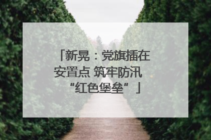 新晃：党旗插在安置点 筑牢防汛“红色堡垒”