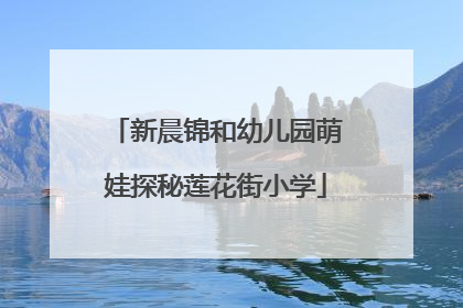 新晨锦和幼儿园萌娃探秘莲花街小学
