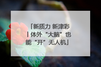 新质力 新津彩丨体外“大脑”也能“开”无人机
