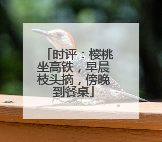 时评：樱桃坐高铁，早晨枝头摘，傍晚到餐桌