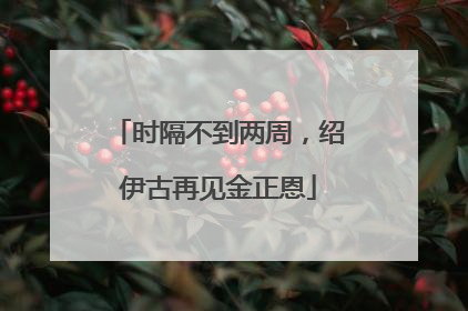 时隔不到两周，绍伊古再见金正恩