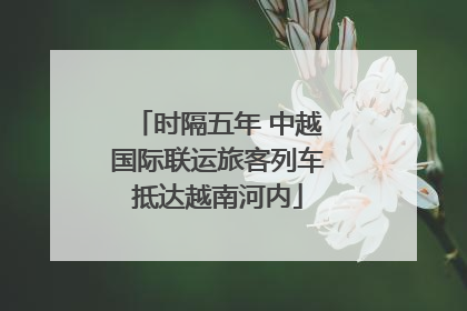 时隔五年 中越国际联运旅客列车抵达越南河内