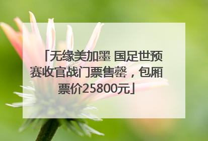 无缘美加墨 国足世预赛收官战门票售罄，包厢票价25800元