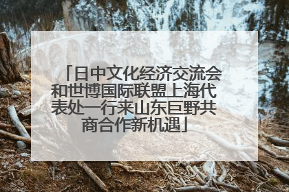 日中文化经济交流会和世博国际联盟上海代表处一行来山东巨野共商合作新机遇