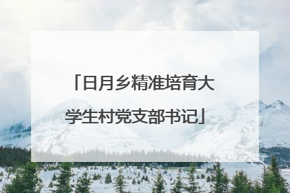 日月乡精准培育大学生村党支部书记