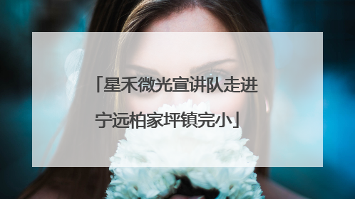 星禾微光宣讲队走进宁远柏家坪镇完小